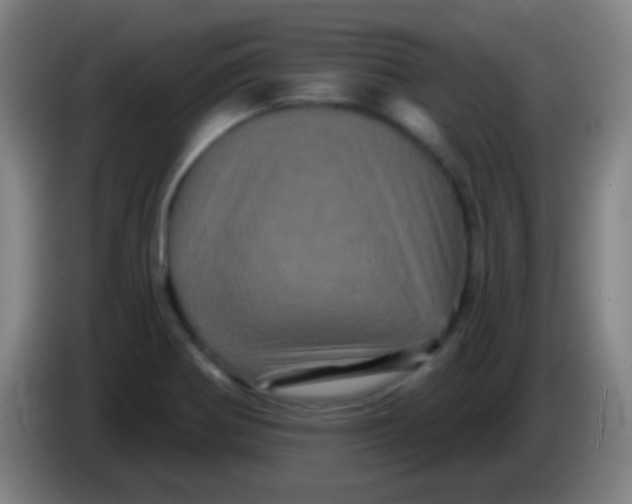 X0000085321370200703302035