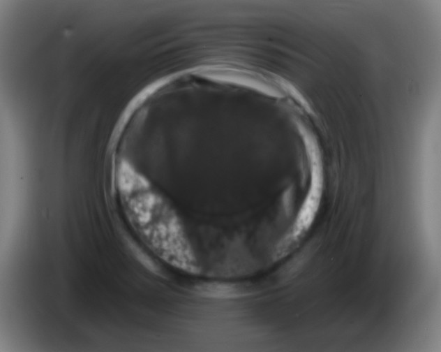 X0000085321371200703302035