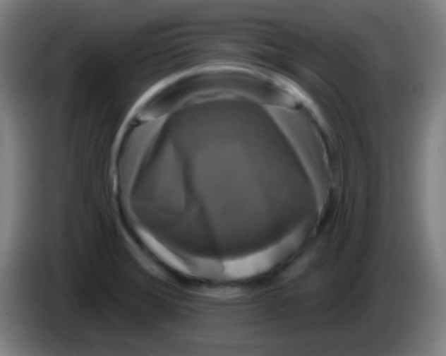 X0000085321372200703302035