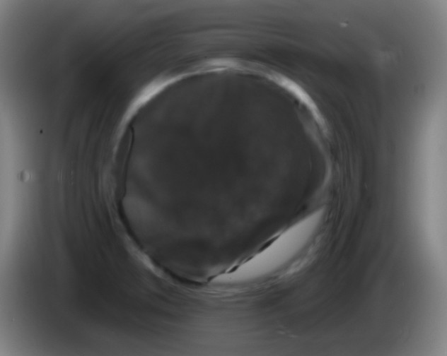 X0000085321373200703302035
