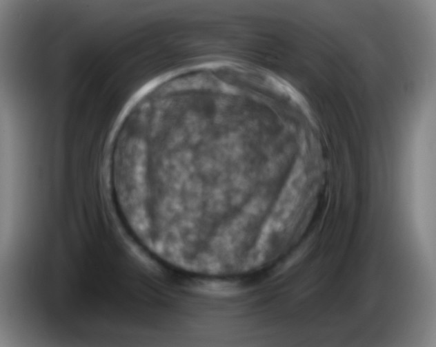 X0000085321375200703302035