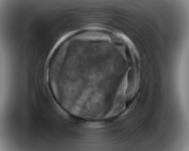 X0000085321376200703302035