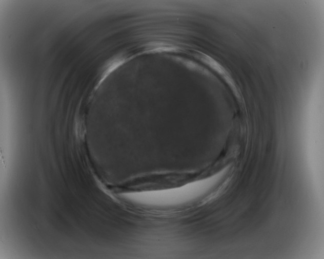 X0000085321377200703302035