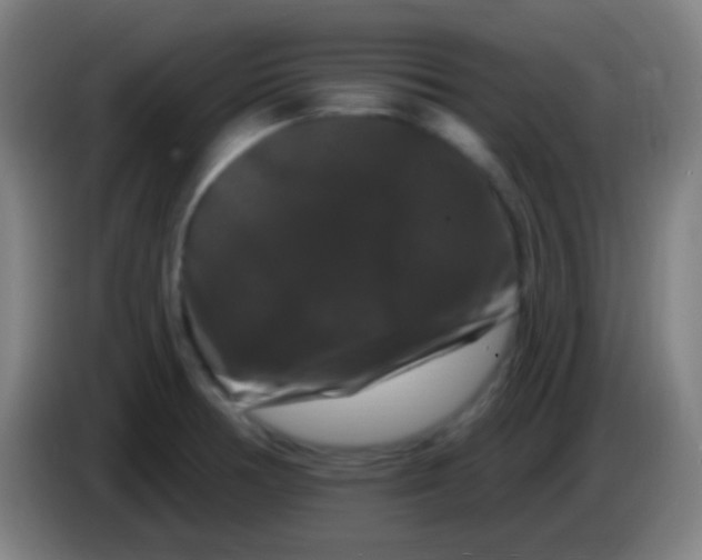X0000085321378200703302035
