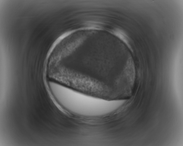 X0000085321379200703302035