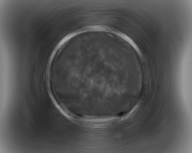 X0000085321381200703302035