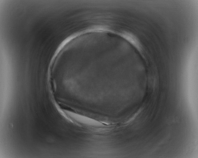 X0000085321382200703302035
