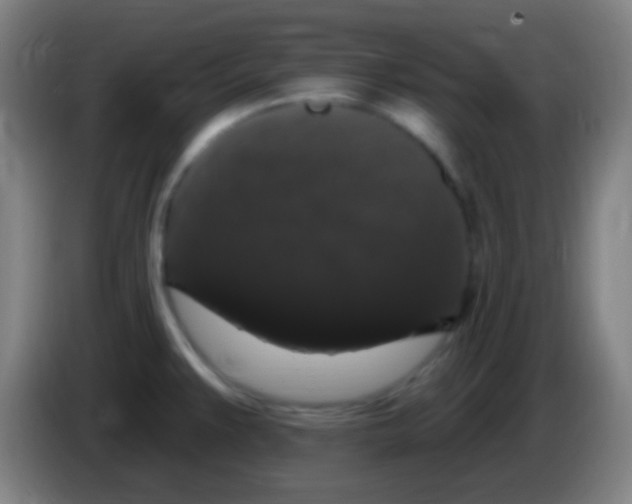 X0000085321383200703302035
