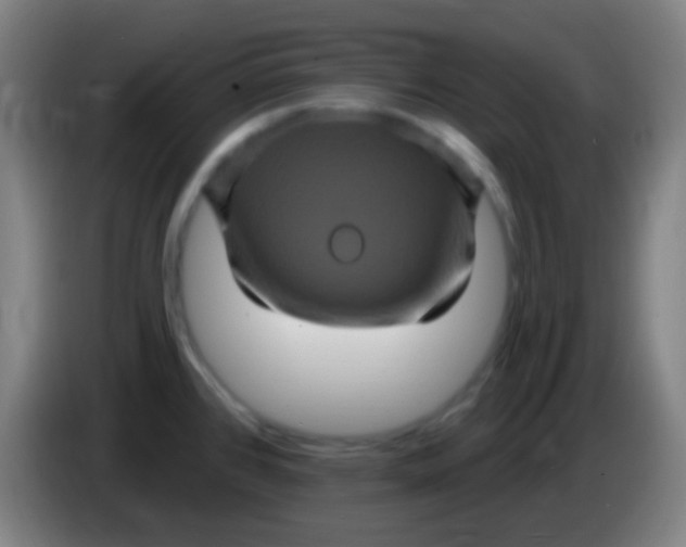 X0000085321384200703302035