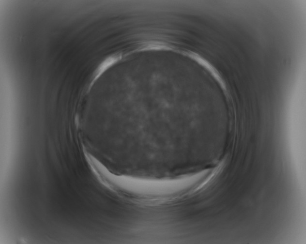X0000085321385200703302035