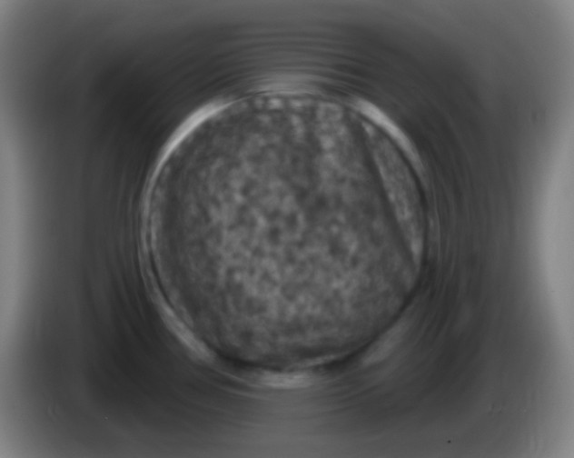 X0000085321386200703302035