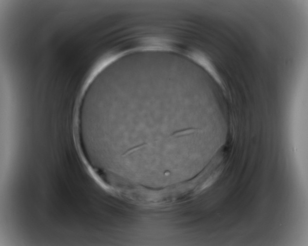 X0000085321387200703302035