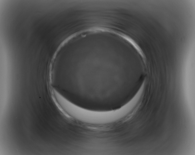 X0000085321388200703302035
