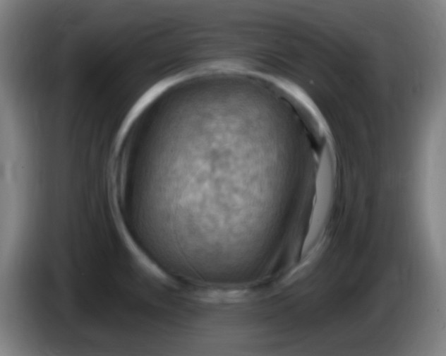 X0000085321389200703302035