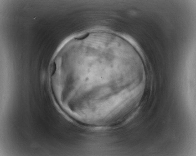 X0000085321390200703302035