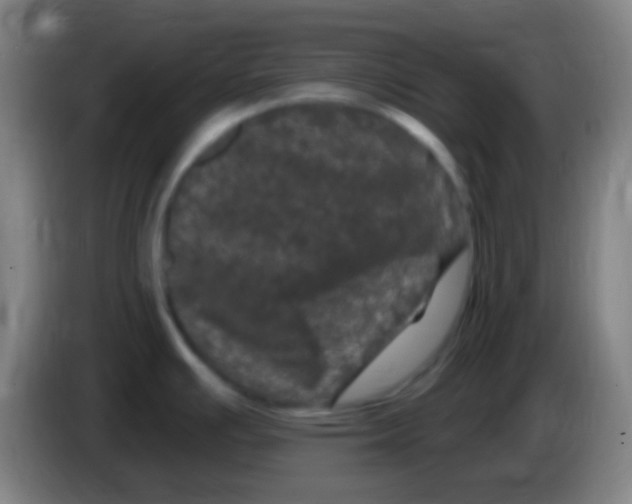 X0000085321391200703302035