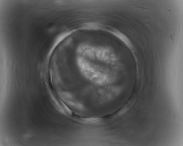 X0000085321392200703302035