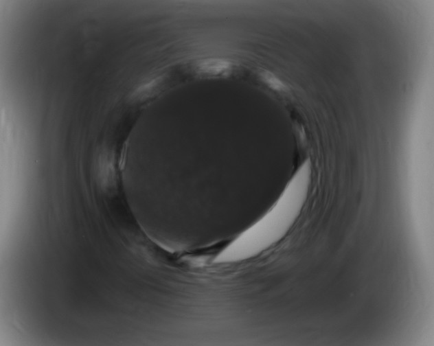 X0000085321394200703302034