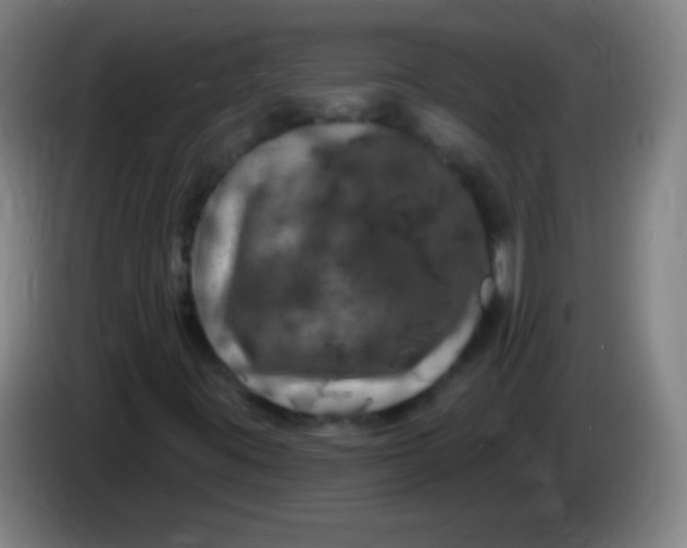 X0000085321395200703302034