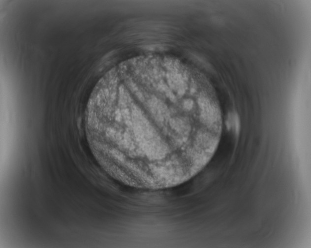 X0000085321396200703302034