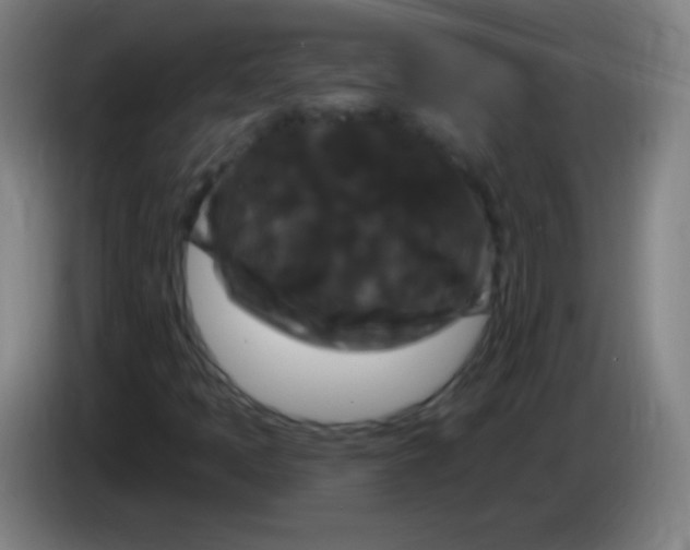 X0000085321397200703302034
