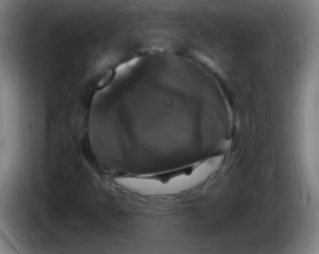 X0000085321399200703302034