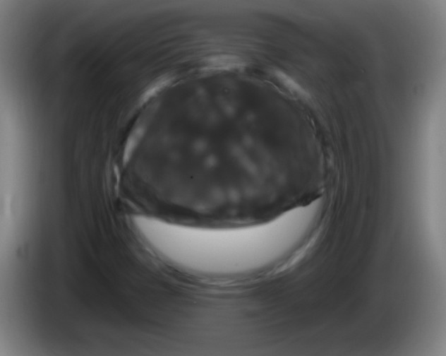 X0000085321401200703302034