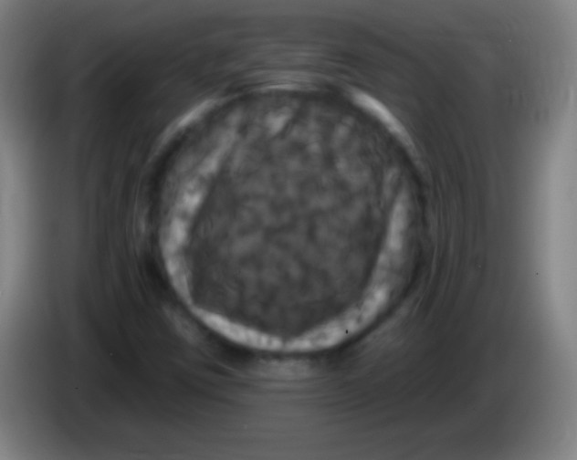 X0000085321403200703302034