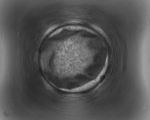 X0000085321404200703302034