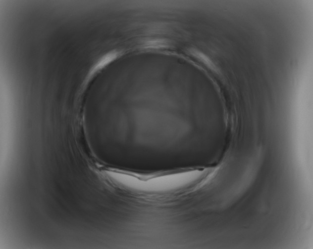 X0000085321405200703302034
