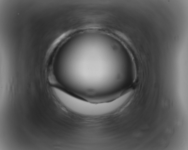 X0000085321406200703302034