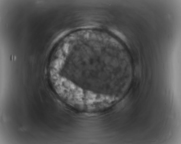 X0000085321407200703302034
