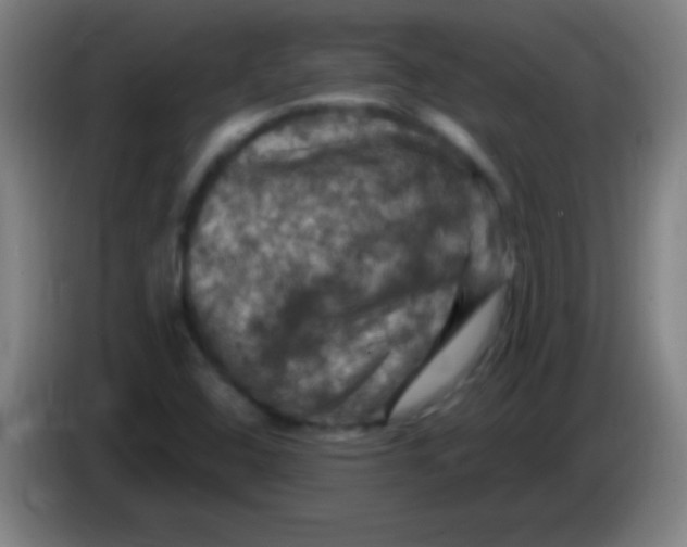 X0000085321408200703302034