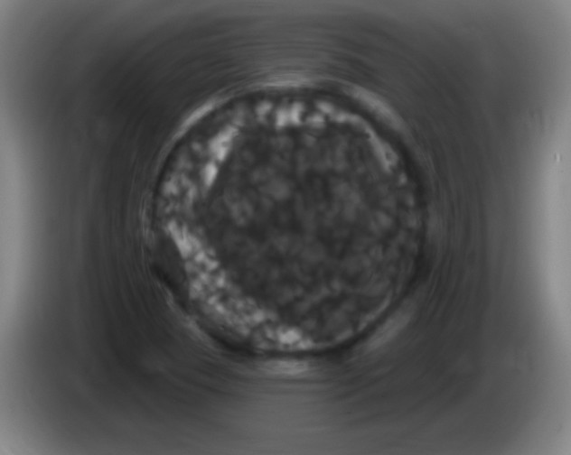 X0000085321409200703302034