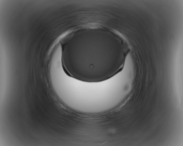 X0000085321410200703302034