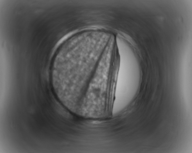 X0000085321412200703302034