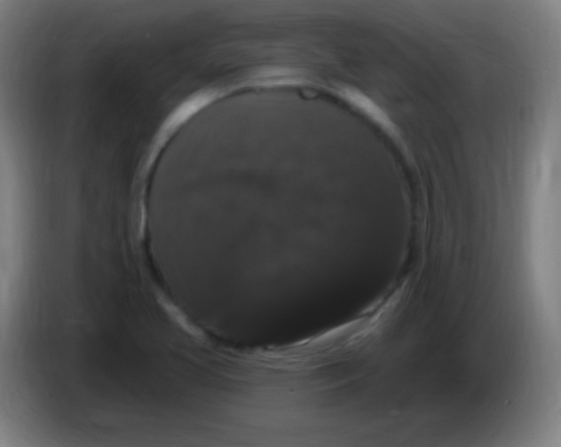 X0000085321413200703302034