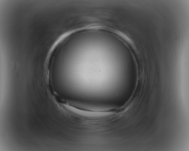 X0000085321414200703302034