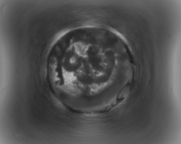 X0000085321415200703302034