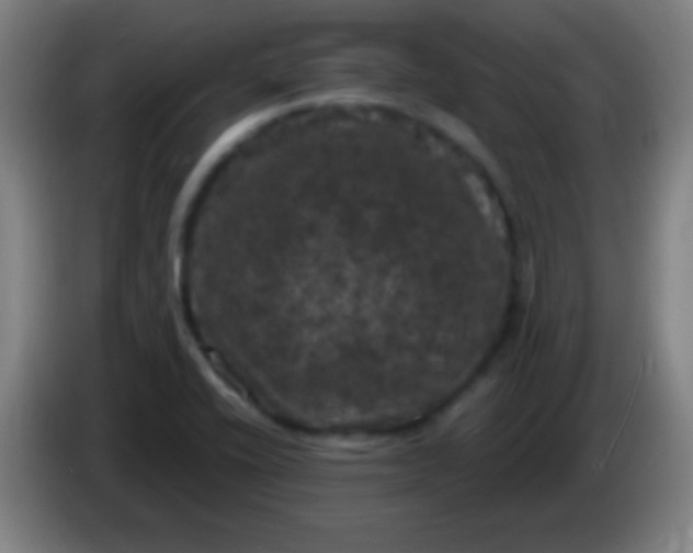 X0000085321416200703302034