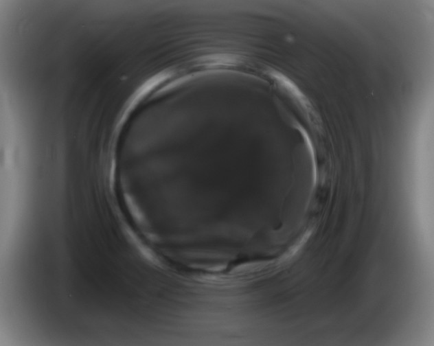 X0000085321418200703302034