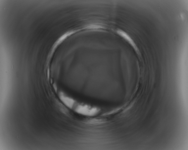 X0000085321419200703302034