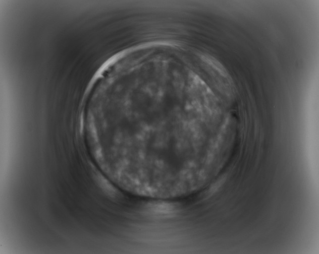 X0000085321420200703302034