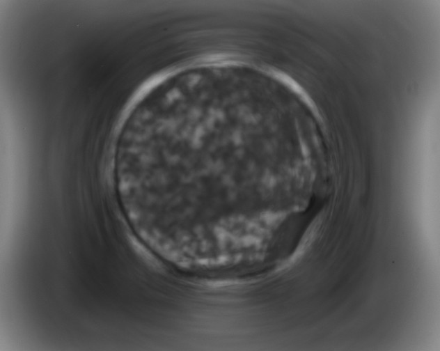 X0000085321421200703302034