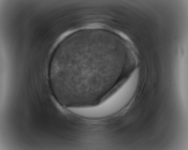 X0000085321422200703302034
