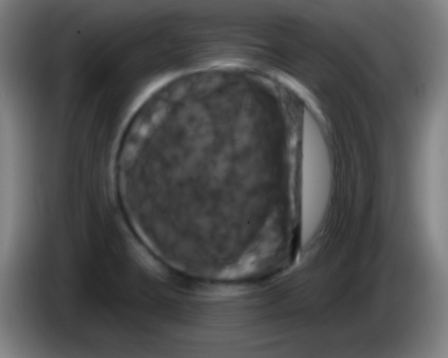 X0000085321423200703302034
