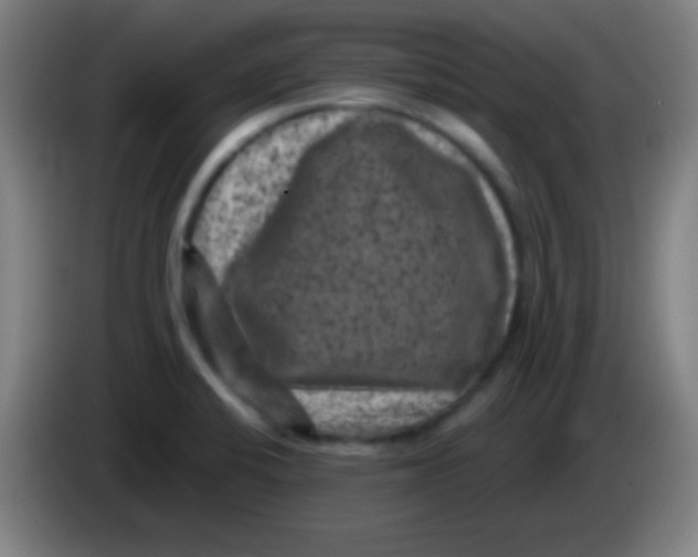 X0000085321424200703302034