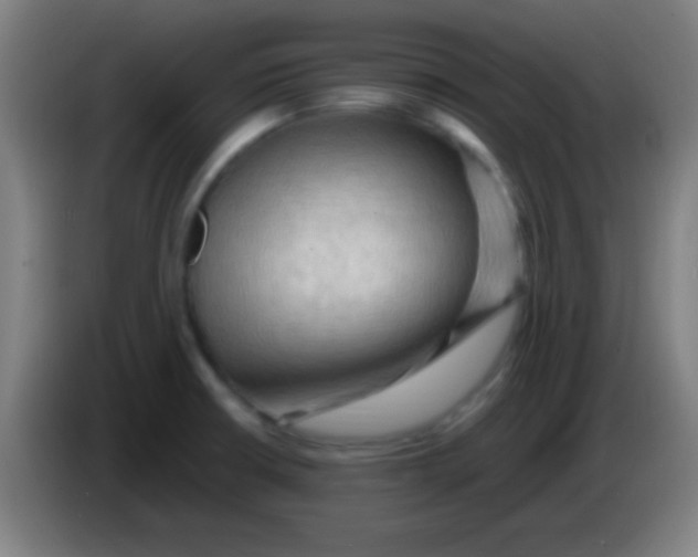 X0000085321426200703302034