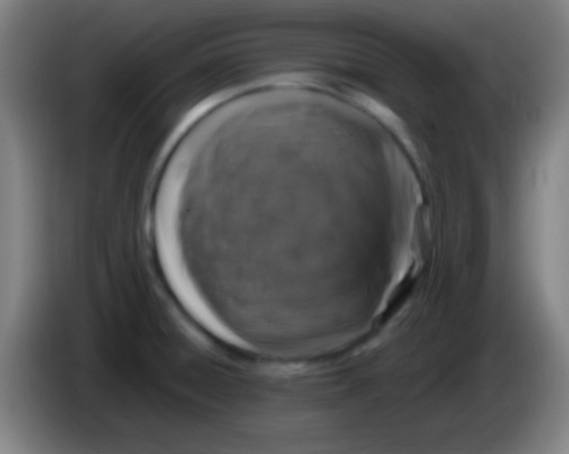 X0000085321428200703302034