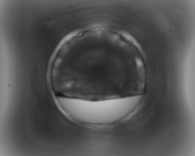 X0000085321429200703302034